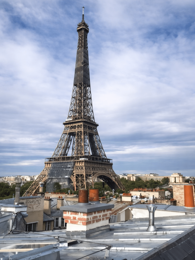 installation ligne de vie