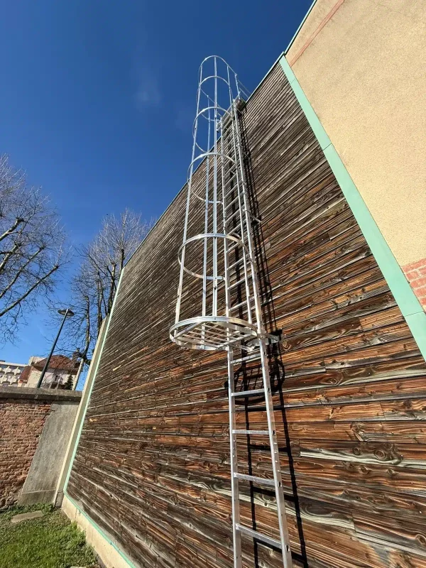 Échelle à crinoline chantier FMI