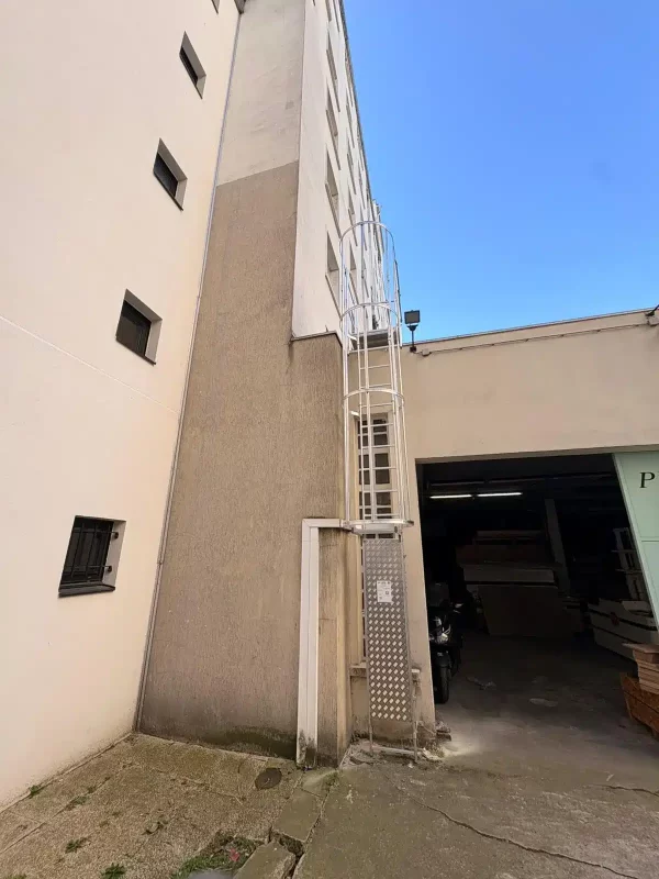 Échelle crinoline chantier FMI