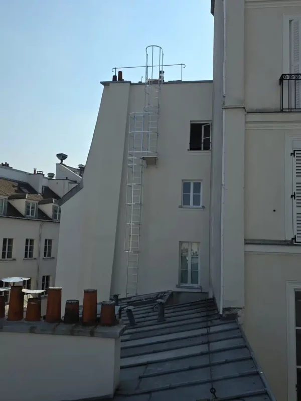 Installation échelle crinoline chantier FMI PRO